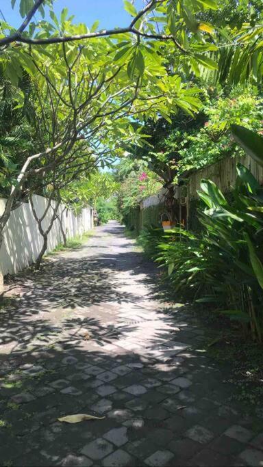 Villa Jalun 塞米亚克 外观 照片